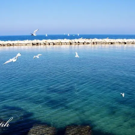 Putignani 210 شقة